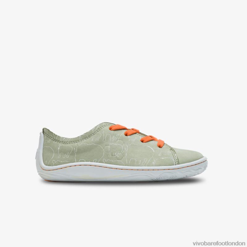 Addis Lewa Juniors Sage Vivobarefoot 000VH217 Kids Vivobarefoot Shoes Sage