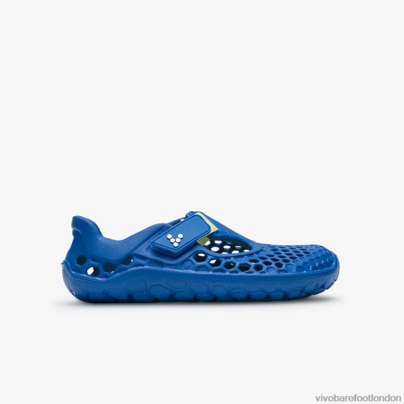 Ultra Bloom Kids Amparo Blue 000VH81 Kids Vivobarefoot Shoes Amparo Blue